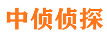 雁江外遇调查取证